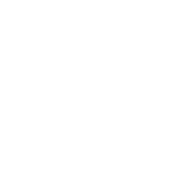 ins